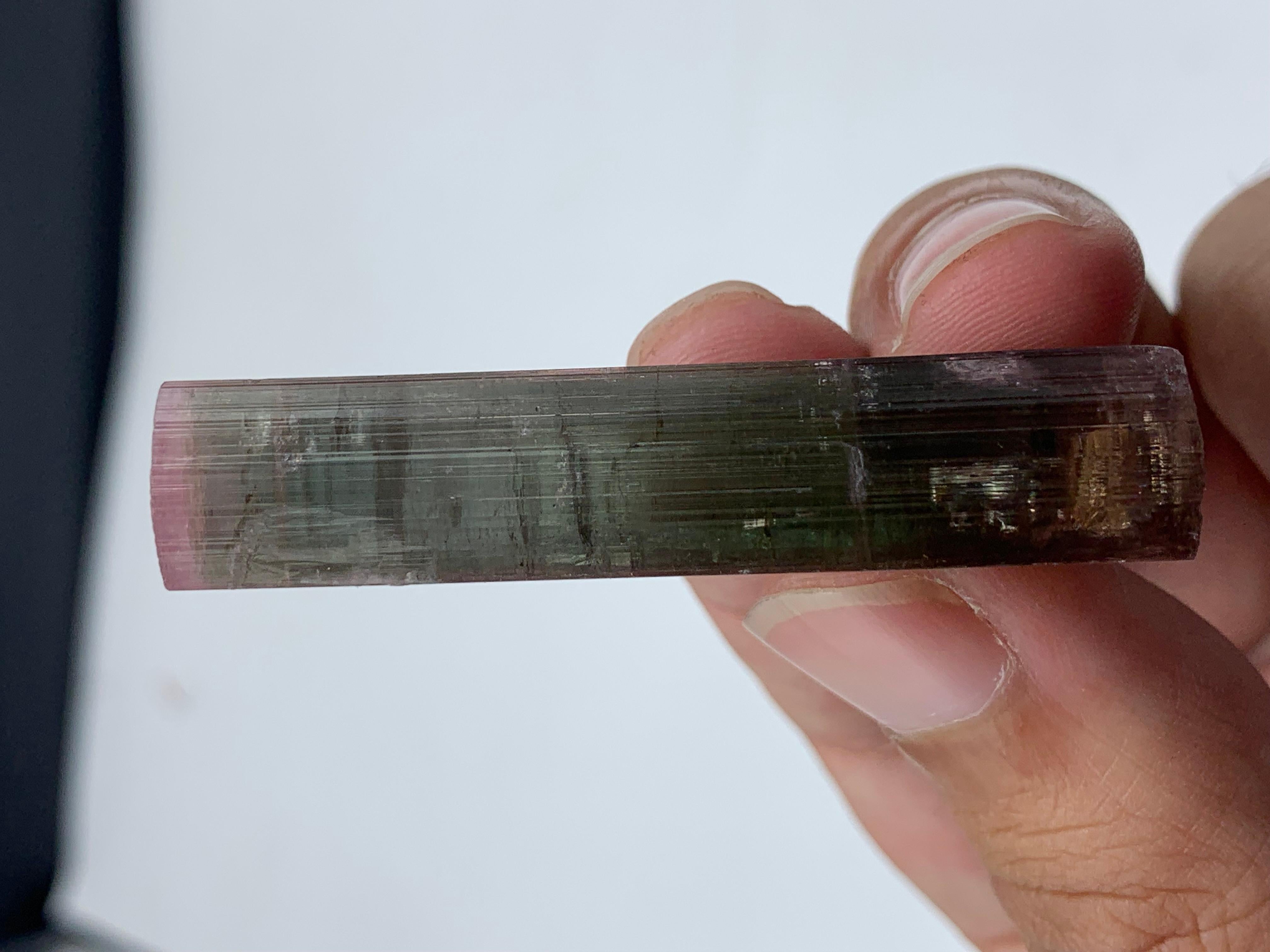 16.95 Gram Amazing Bi Color Tourmaline Crystal From Paprook Mine, Afghanistan  In Good Condition For Sale In Peshawar, PK