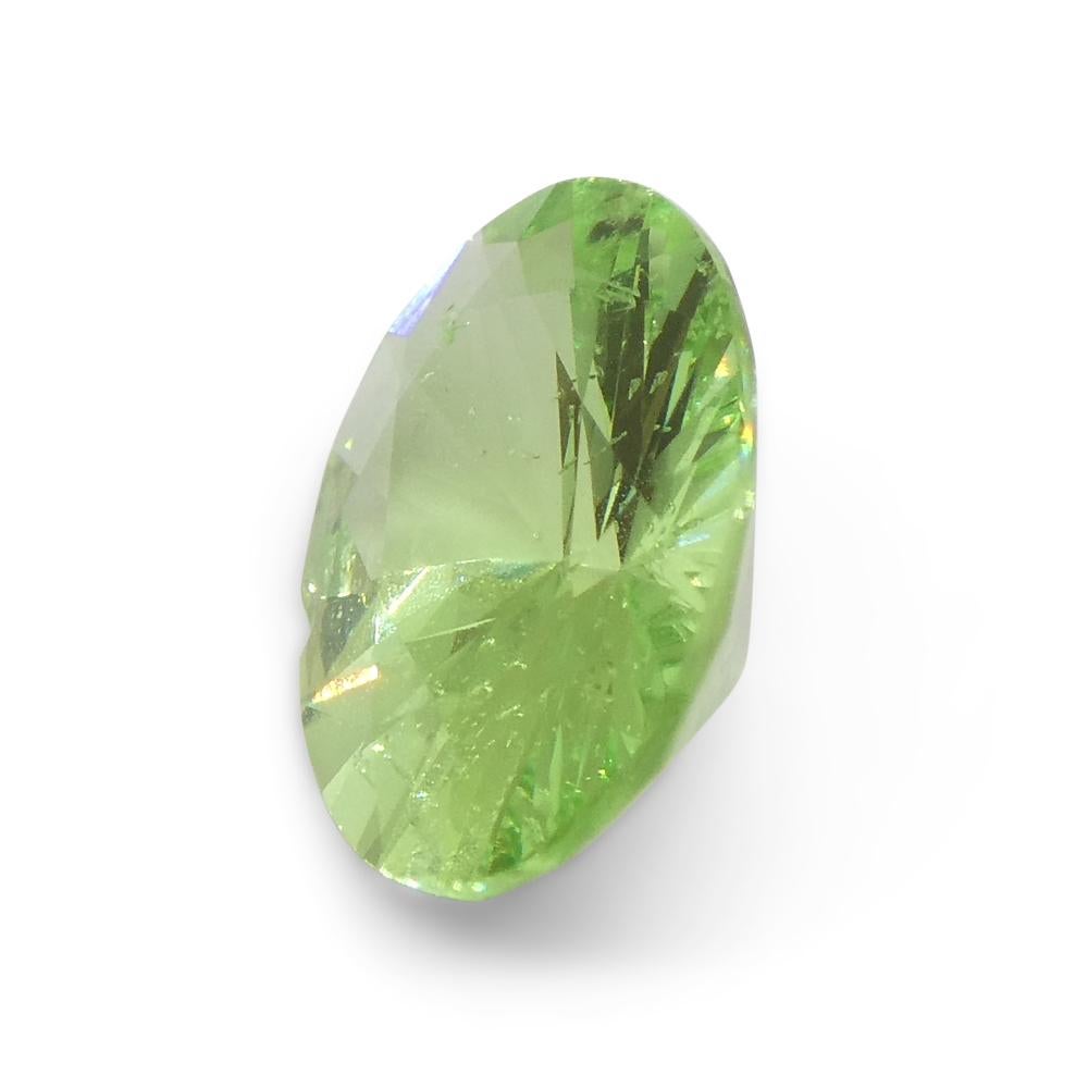 1.69ct Oval Green Mint Garnet from Tanzania For Sale 5