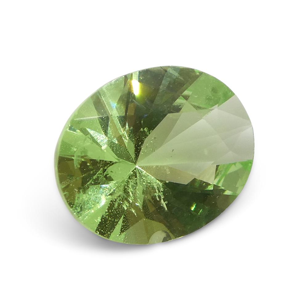 1.69ct Oval Green Mint Garnet from Tanzania For Sale 8