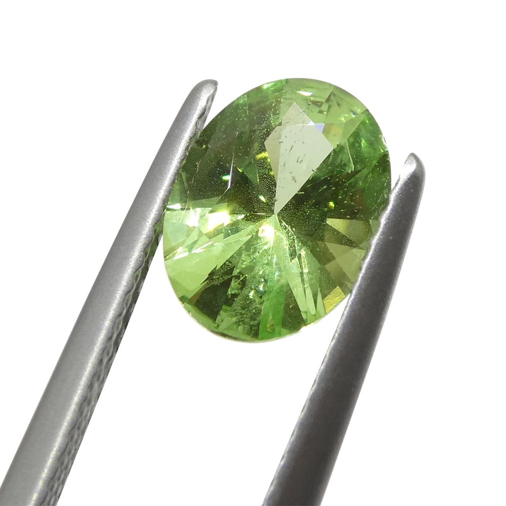 Oval Cut 1.69ct Oval Green Mint Garnet from Tanzania For Sale