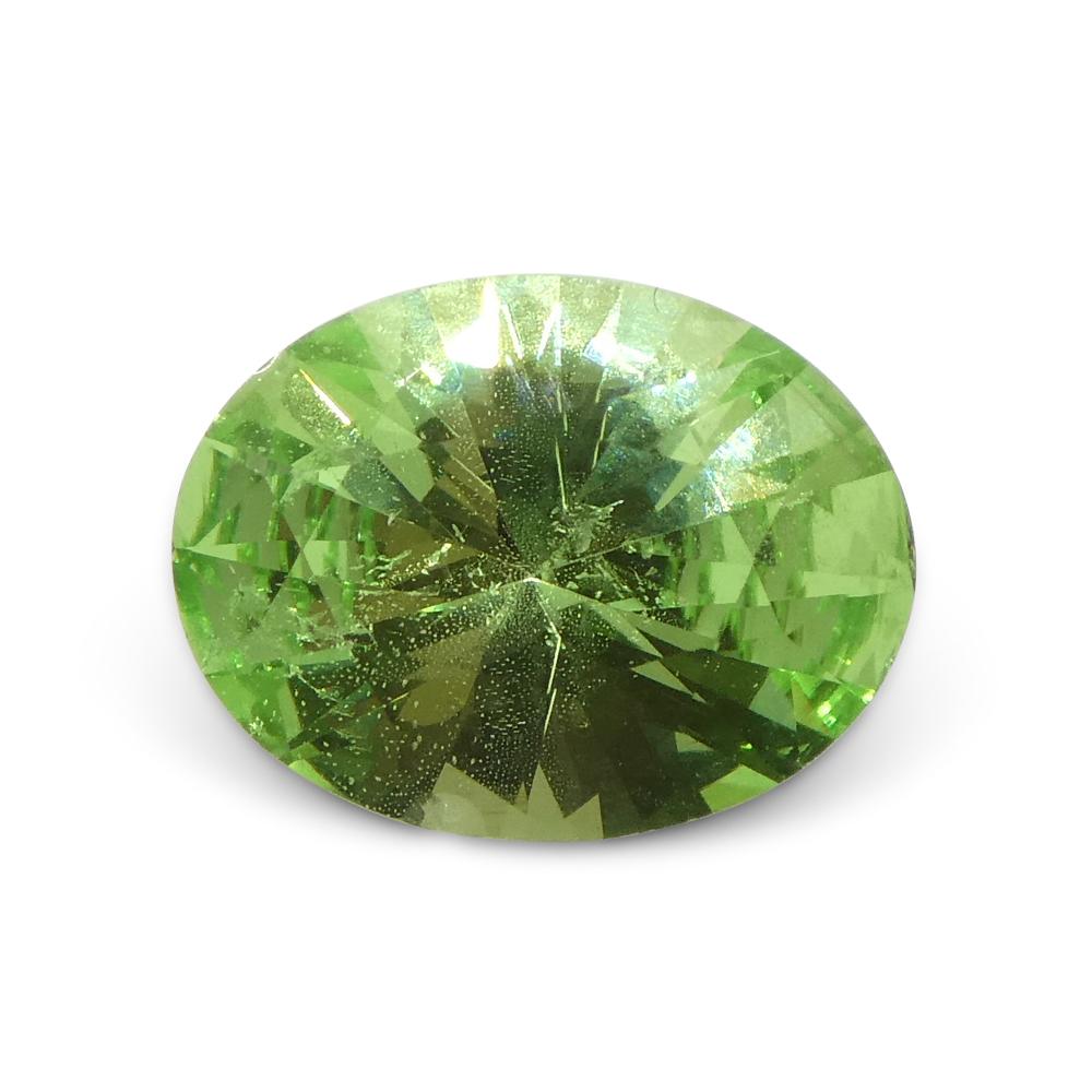 Women's or Men's 1.69ct Oval Green Mint Garnet from Tanzania For Sale