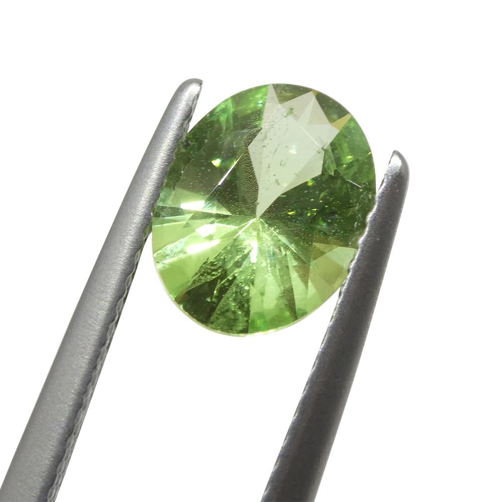 1.69ct Oval Green Mint Garnet from Tanzania For Sale 2