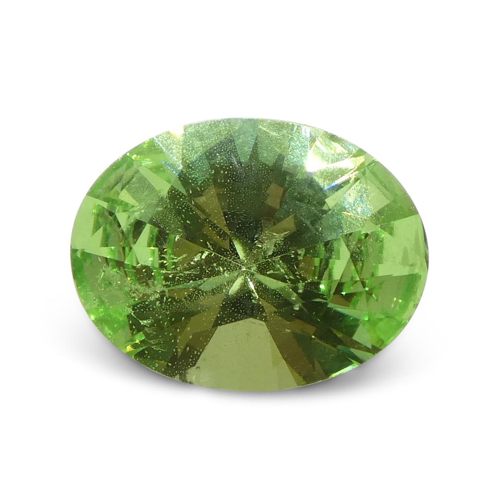 1.69ct Oval Green Mint Garnet from Tanzania For Sale 3
