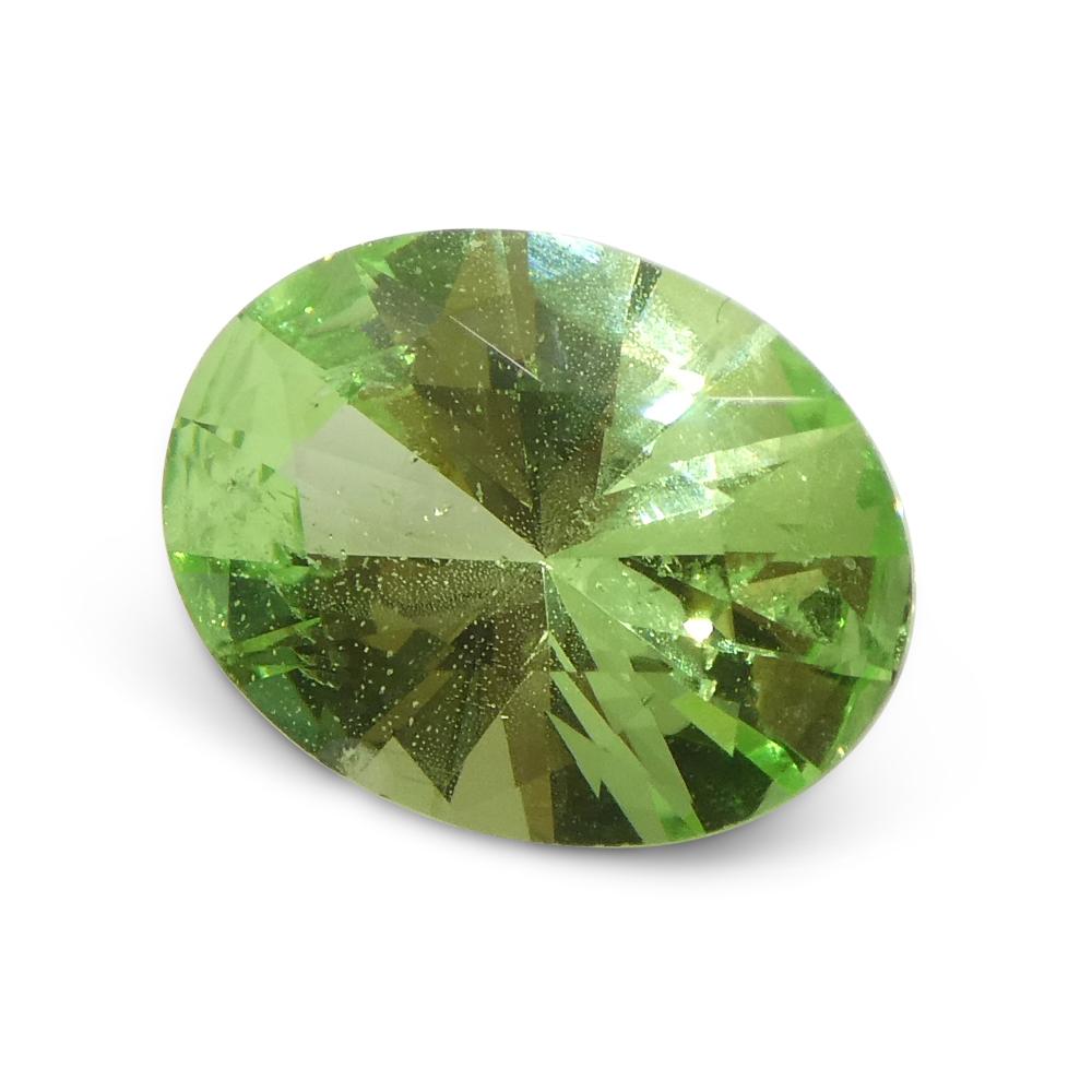 1.69ct Oval Green Mint Garnet from Tanzania For Sale 4
