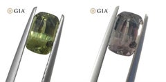 1.6ct Cushion Yellowish Green to Grey-Purple Alexandrite GIA Certified Unheated