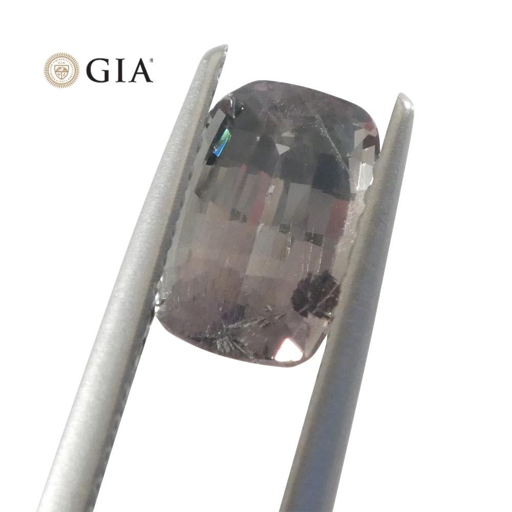 1.6ct Cushion Yellowish Green to Grey-Purple Alexandrite GIA Certified Unheated For Sale 1