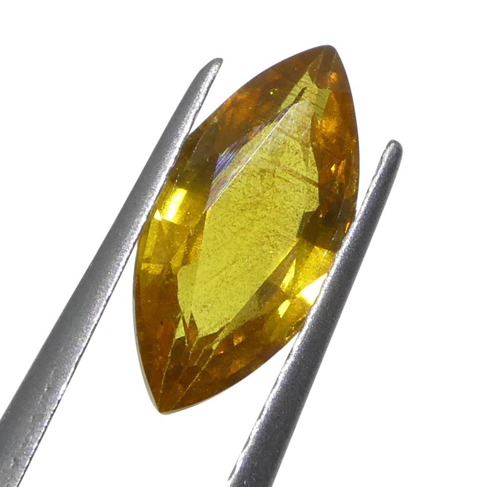 1.6ct Marquise Yellow Sapphire from Tanzania Unheated For Sale 5