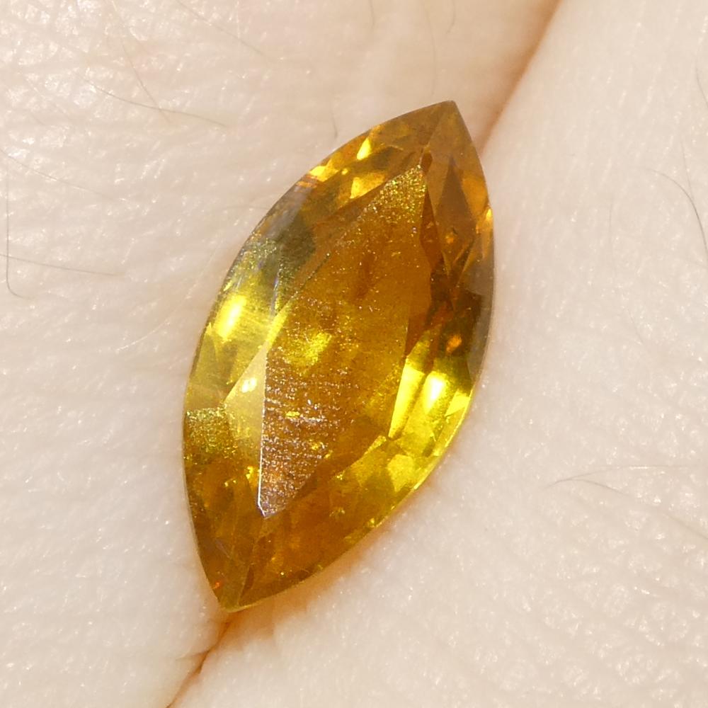 1.6ct Marquise Yellow Sapphire from Tanzania Unheated For Sale 6