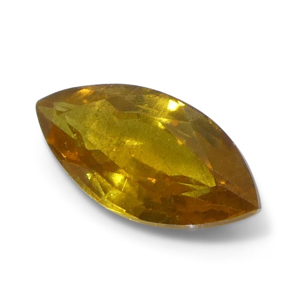 1.6ct Marquise Yellow Sapphire from Tanzania Unheated For Sale 1