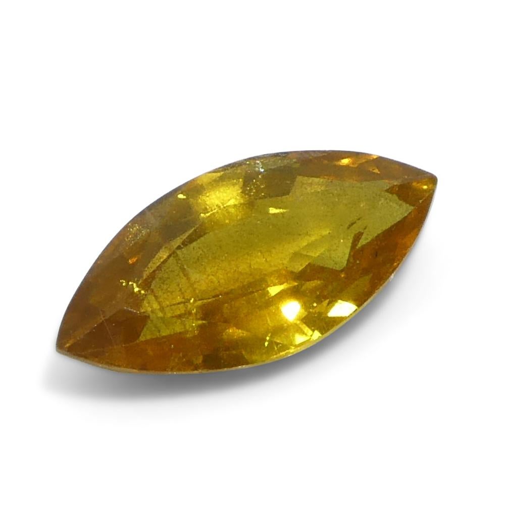 1.6ct Marquise Yellow Sapphire from Tanzania Unheated For Sale 3