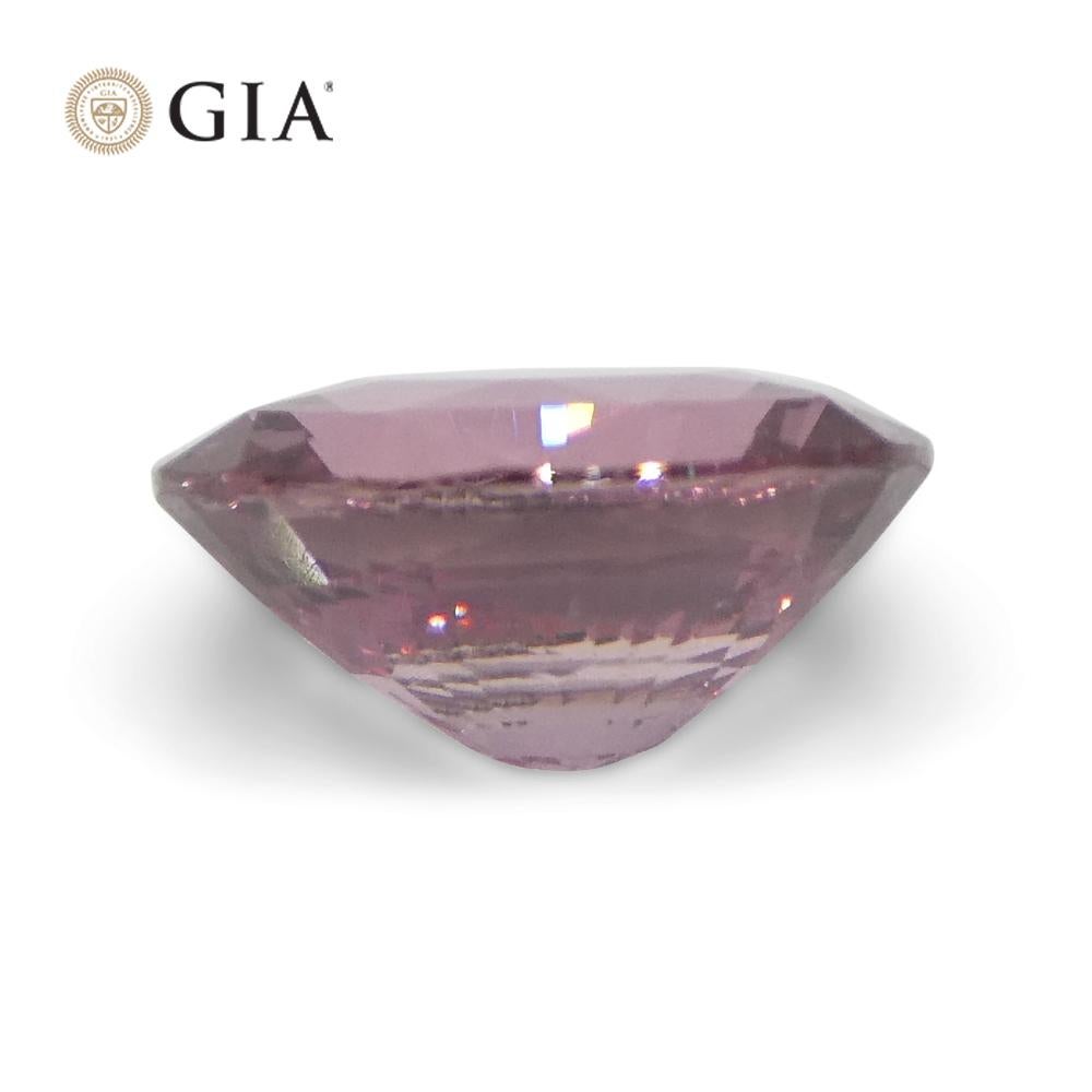 1.6ct Oval Purplish Pink Sapphire GIA Certified Madagascar Unheated For Sale 5