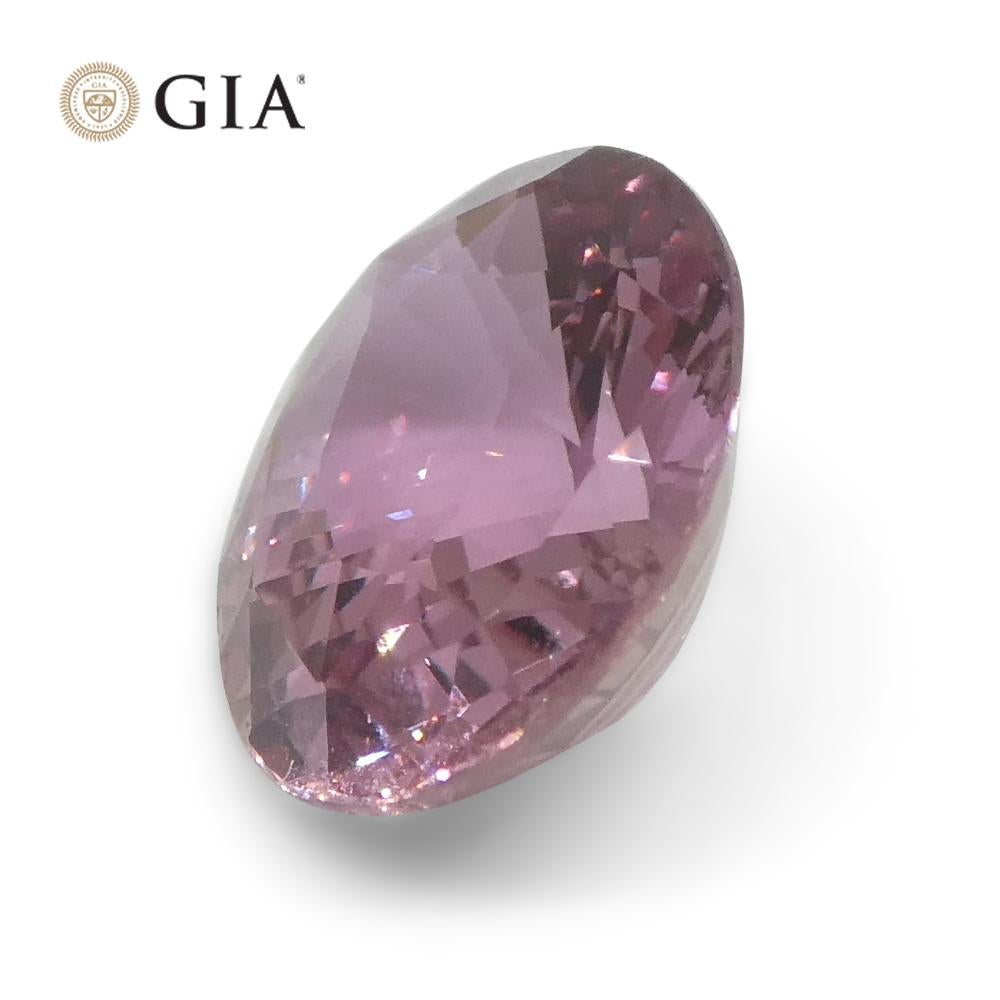 1.6ct Oval Purplish Pink Sapphire GIA Certified Madagascar Unheated For Sale 6