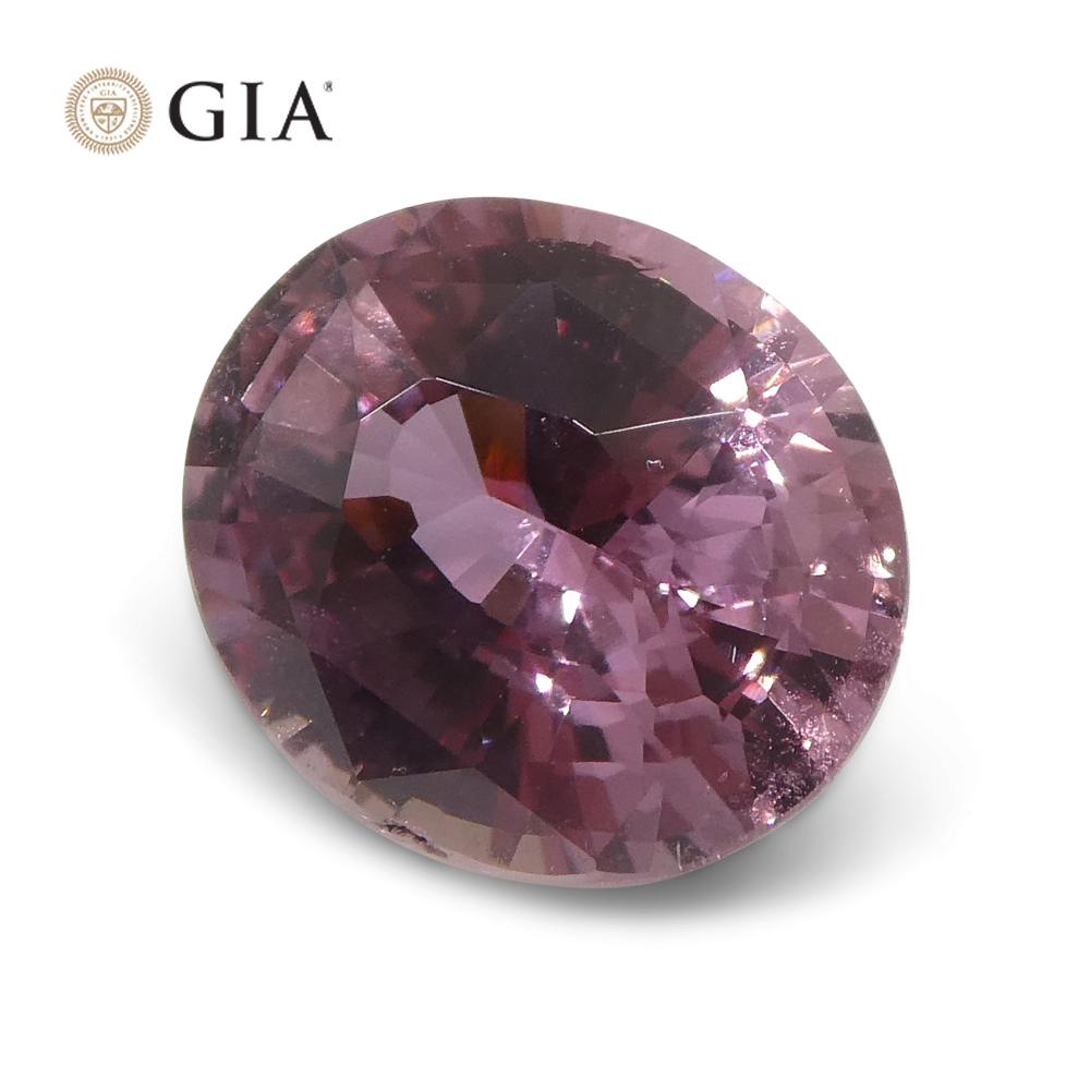 1.6ct Oval Purplish Pink Sapphire GIA Certified Madagascar Unheated For Sale 7