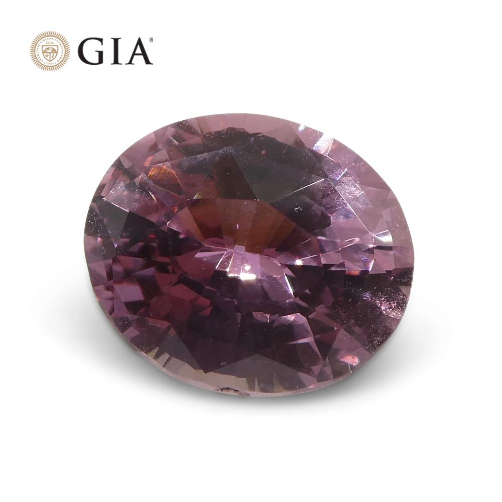 1.6ct Oval Purplish Pink Sapphire GIA Certified Madagascar Unheated For Sale 8