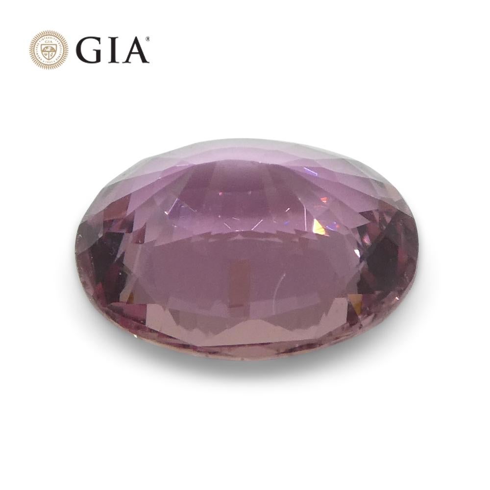 1.6ct Oval Purplish Pink Sapphire GIA Certified Madagascar Unheated For Sale 9