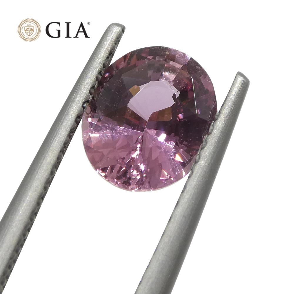 1.6ct Oval Purplish Pink Sapphire GIA Certified Madagascar Unheated For Sale 2