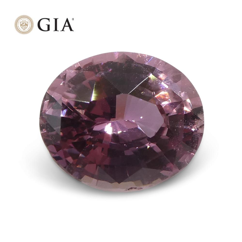 1.6ct Oval Purplish Pink Sapphire GIA Certified Madagascar Unheated For Sale 3