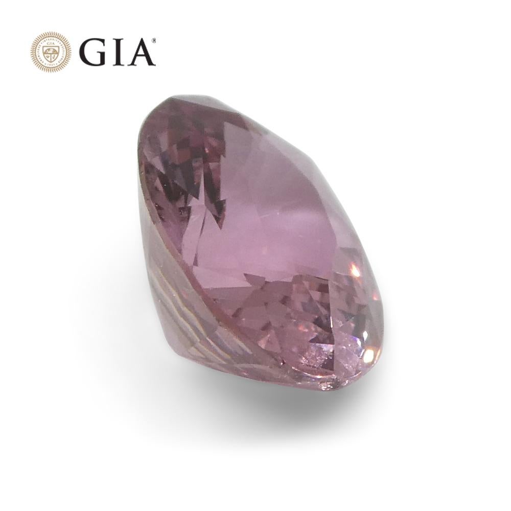 1.6ct Oval Purplish Pink Sapphire GIA Certified Madagascar Unheated For Sale 4