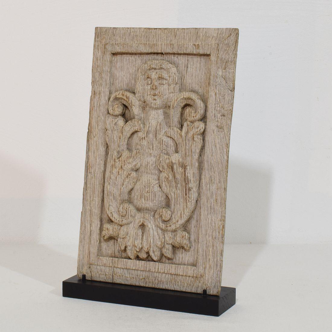 Bellissimo pannello in rovere invecchiato con una meravigliosa figura di angelo primitivo. Nella parte inferiore di questo angelo puoi vedere anche due piccole teste d'aquila.

Francia, circa 1550-1650, danneggiato dagli agenti atmosferici, piccole