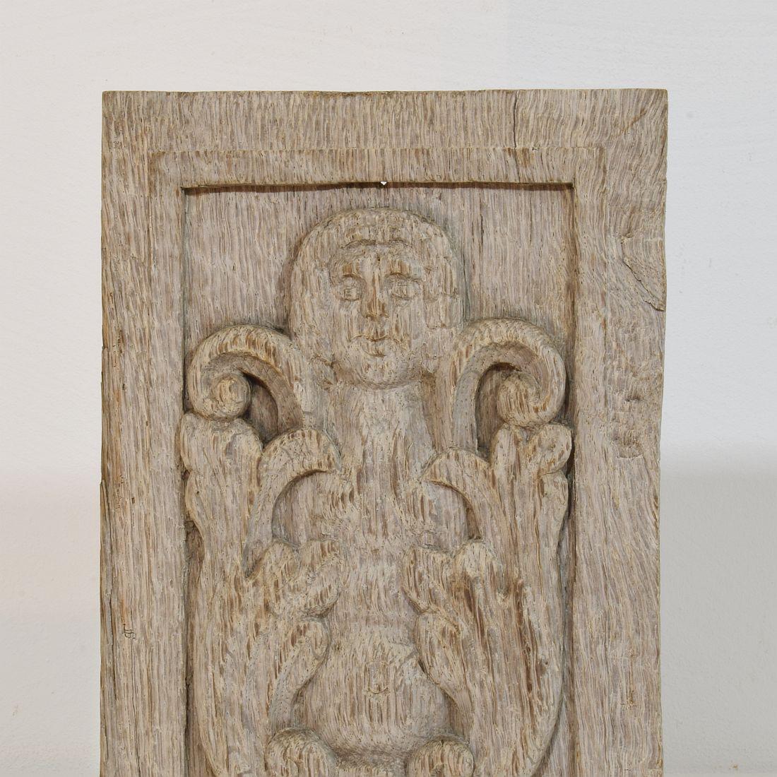 Chêne Panneau en chêne sculpté français du 16e-17e siècle avec une figure d'ange en vente
