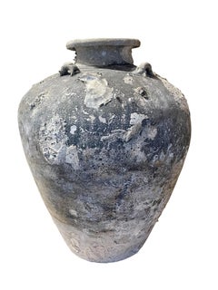 16th Century Cambodian Shipwrecked Vessel With Natural Shells And Barnacles