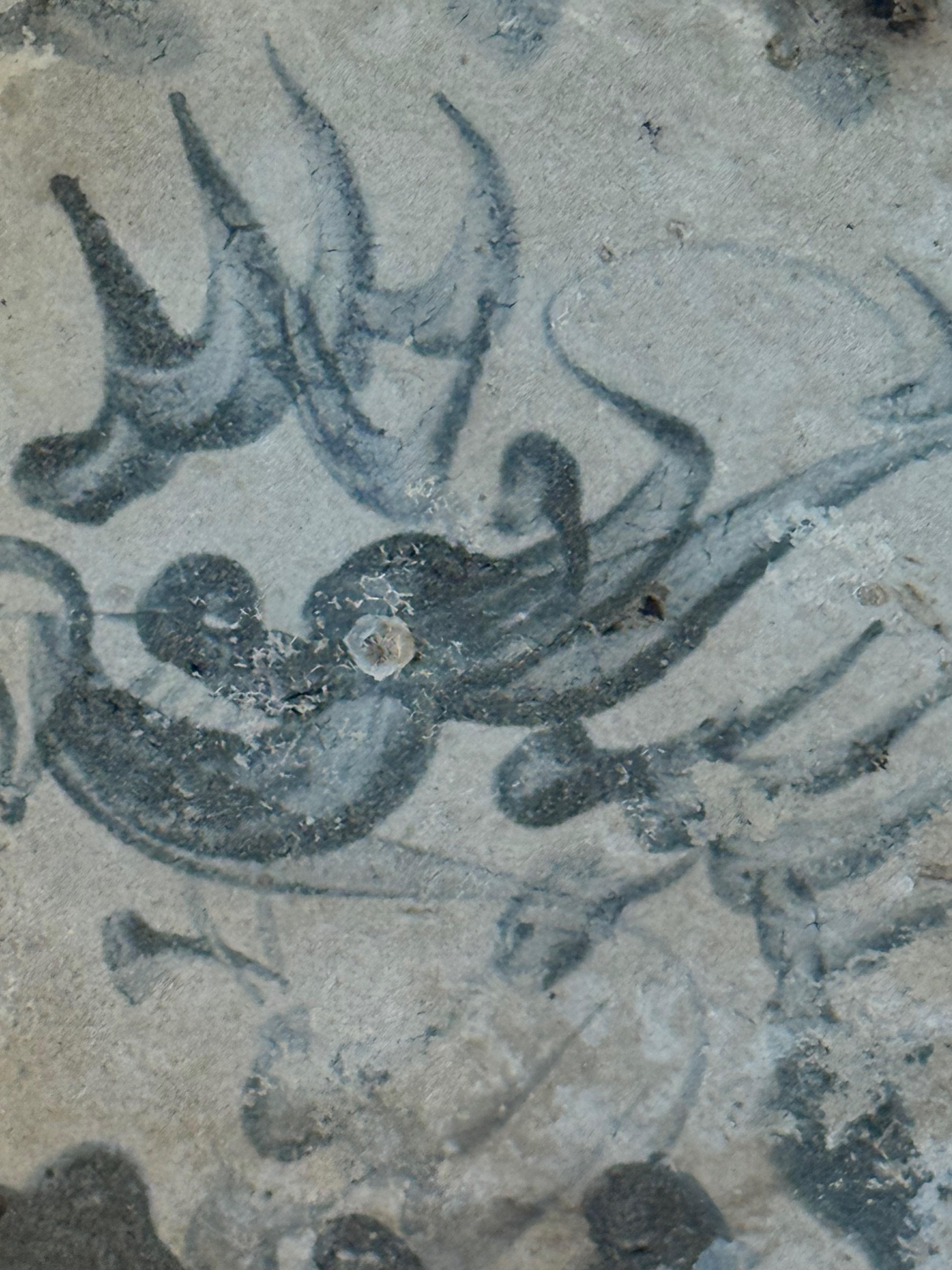 Fino al XVIII secolo Piatto in porcellana della Cina del XVI secolo della dinastia Ming su supporto in vendita