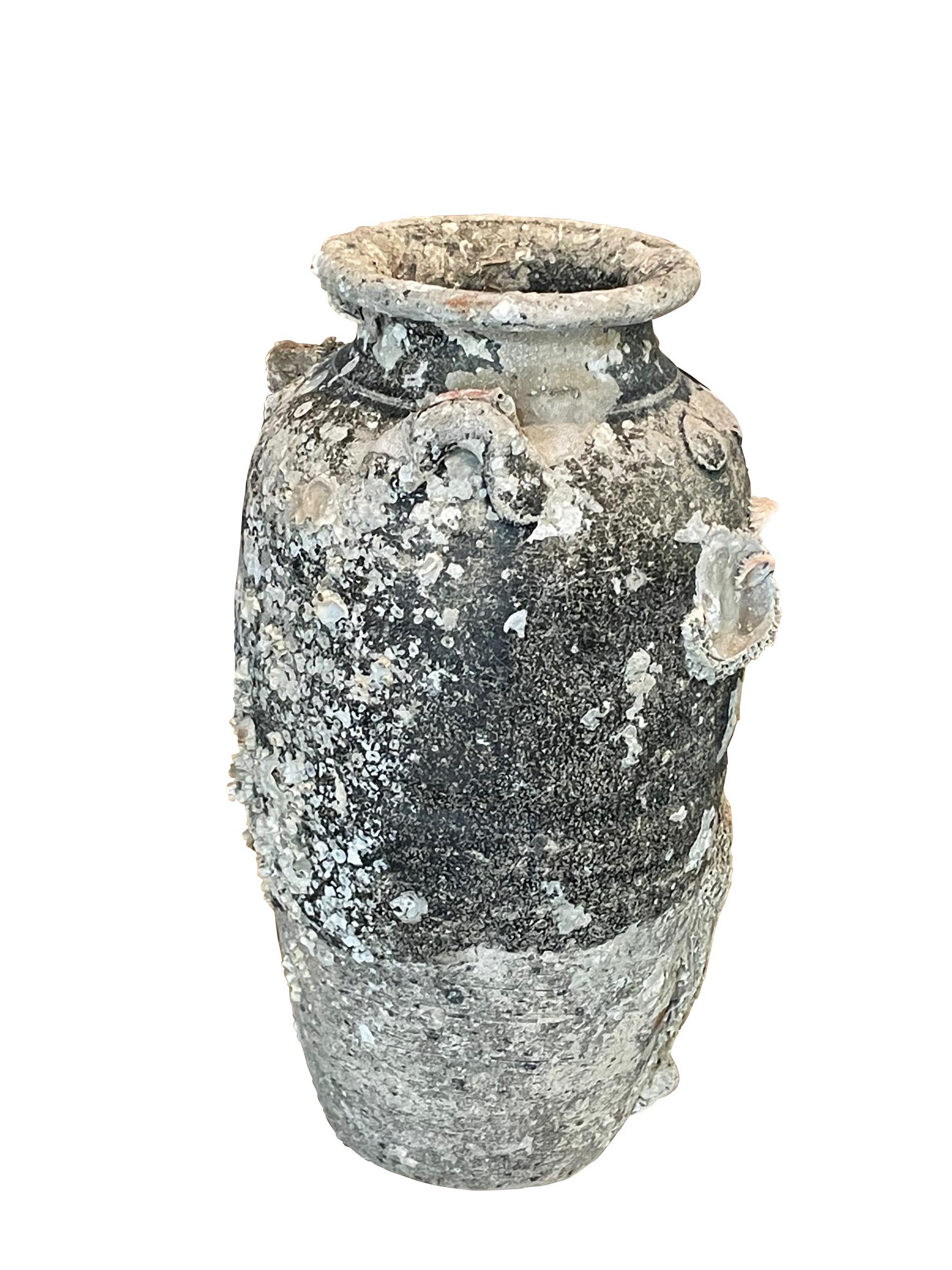 16th century Thailand Sawankhalok ceramic vase from the old city of Sawankhalok known for its pottery.
Beautiful and abundant fossil growth from being submerged under water.
Natural original patina.
Six Available
Part of a very large collection of
