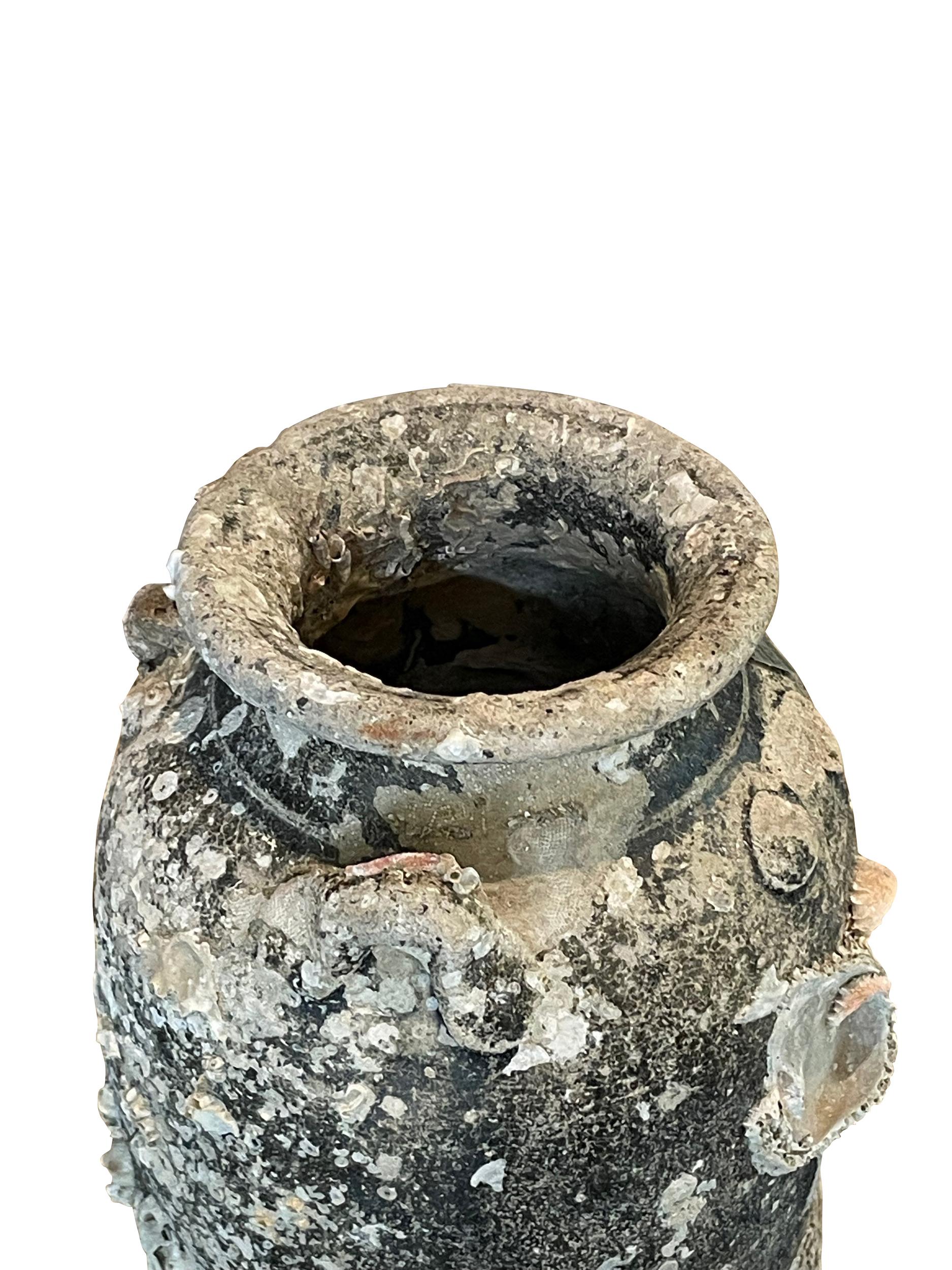 16th Century Fossil Embedded Shipwreck Vase, Sawankhalok, Thailand In Good Condition For Sale In New York, NY