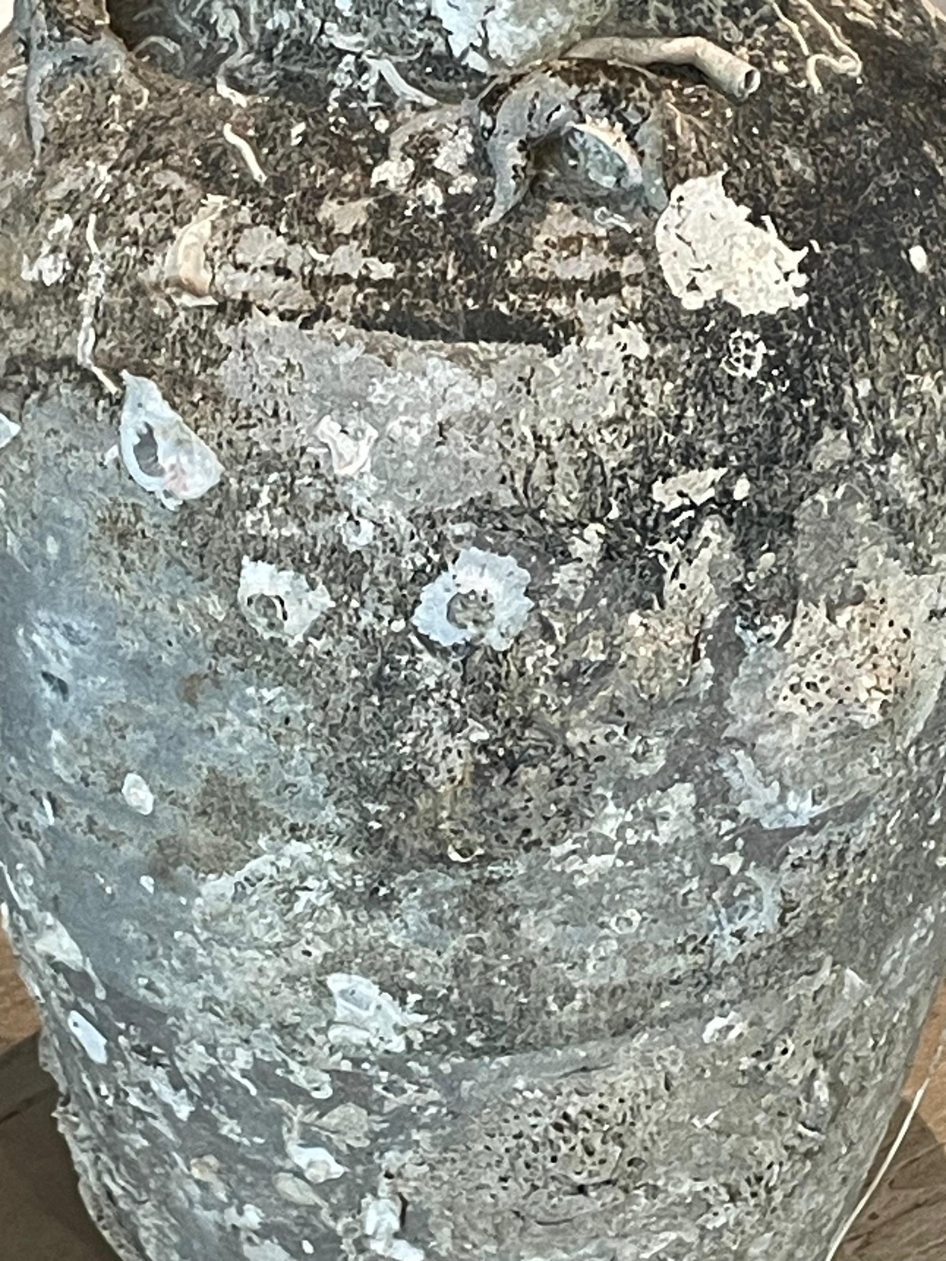 Ceramic 16th Century Fossil Embedded Shipwreck Vase, Sawankhalok, Thailand For Sale