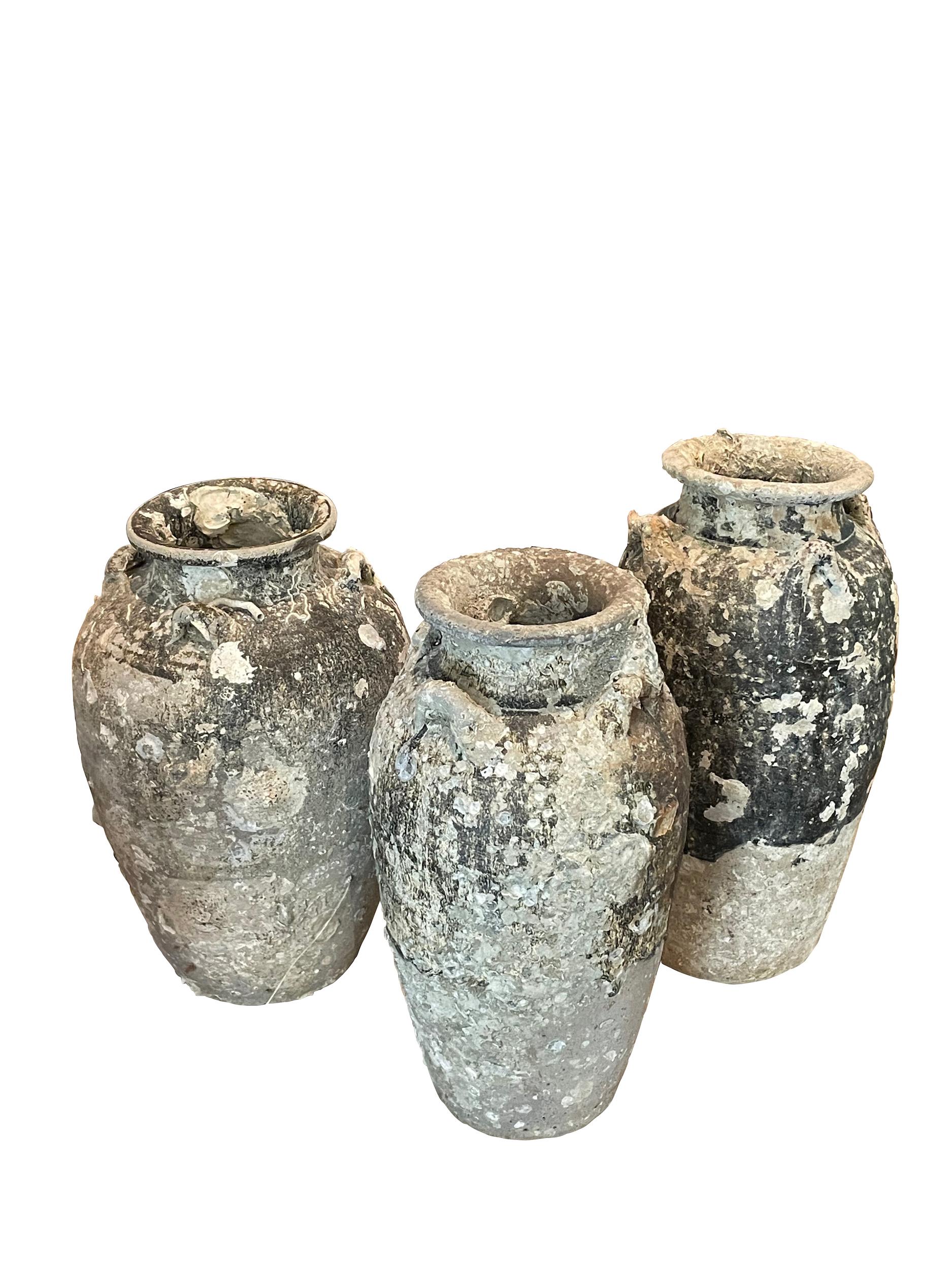 16th Century Fossil Embedded Shipwreck Vase, Sawankhalok, Thailand For Sale 3