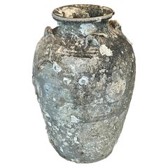 16th Century Fossil Embedded Shipwreck Vase, Sawankhalok, Thailand