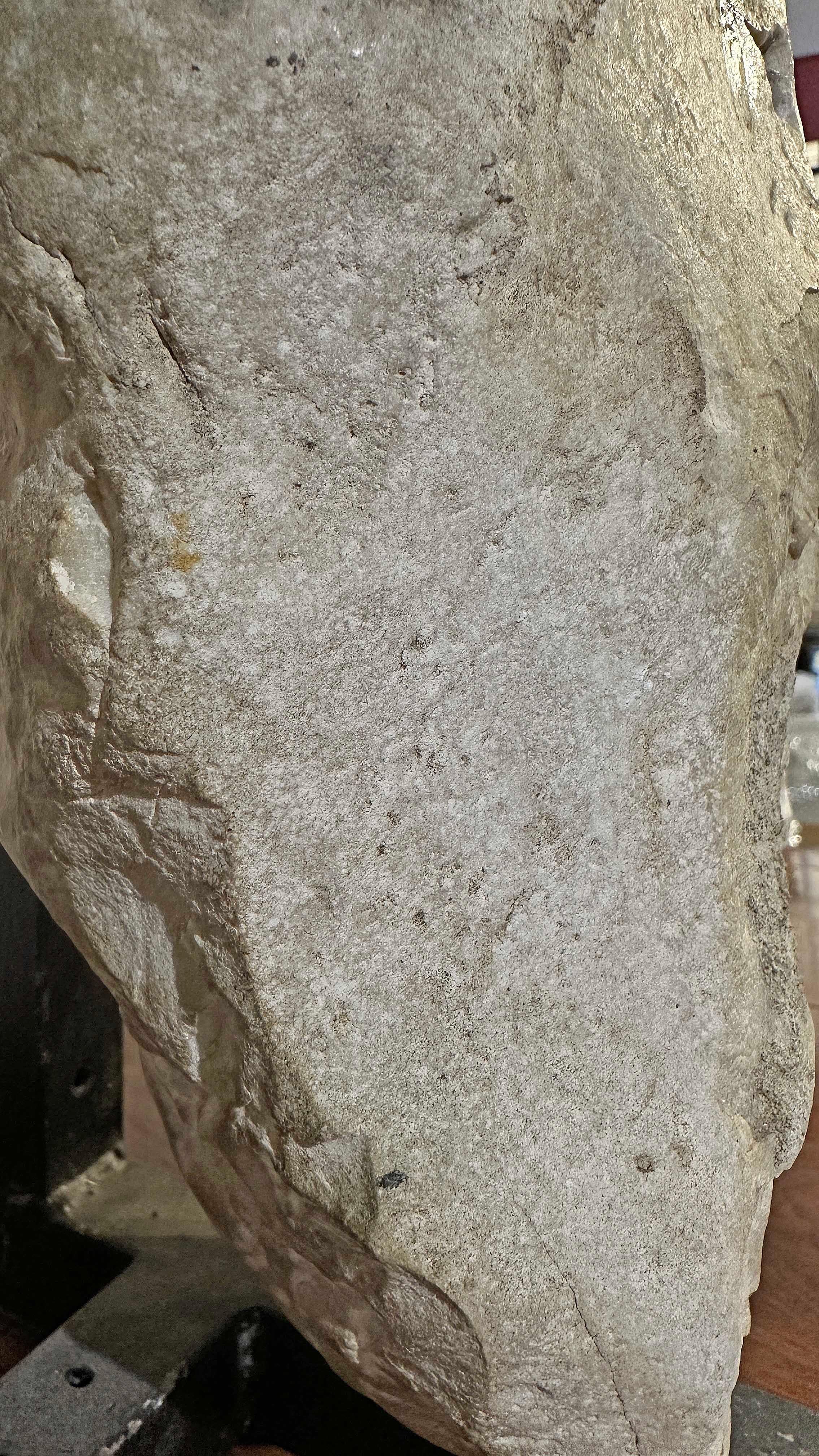 16th CENTURY FOUNTAIN MASK SCULPTURE in vendita 2