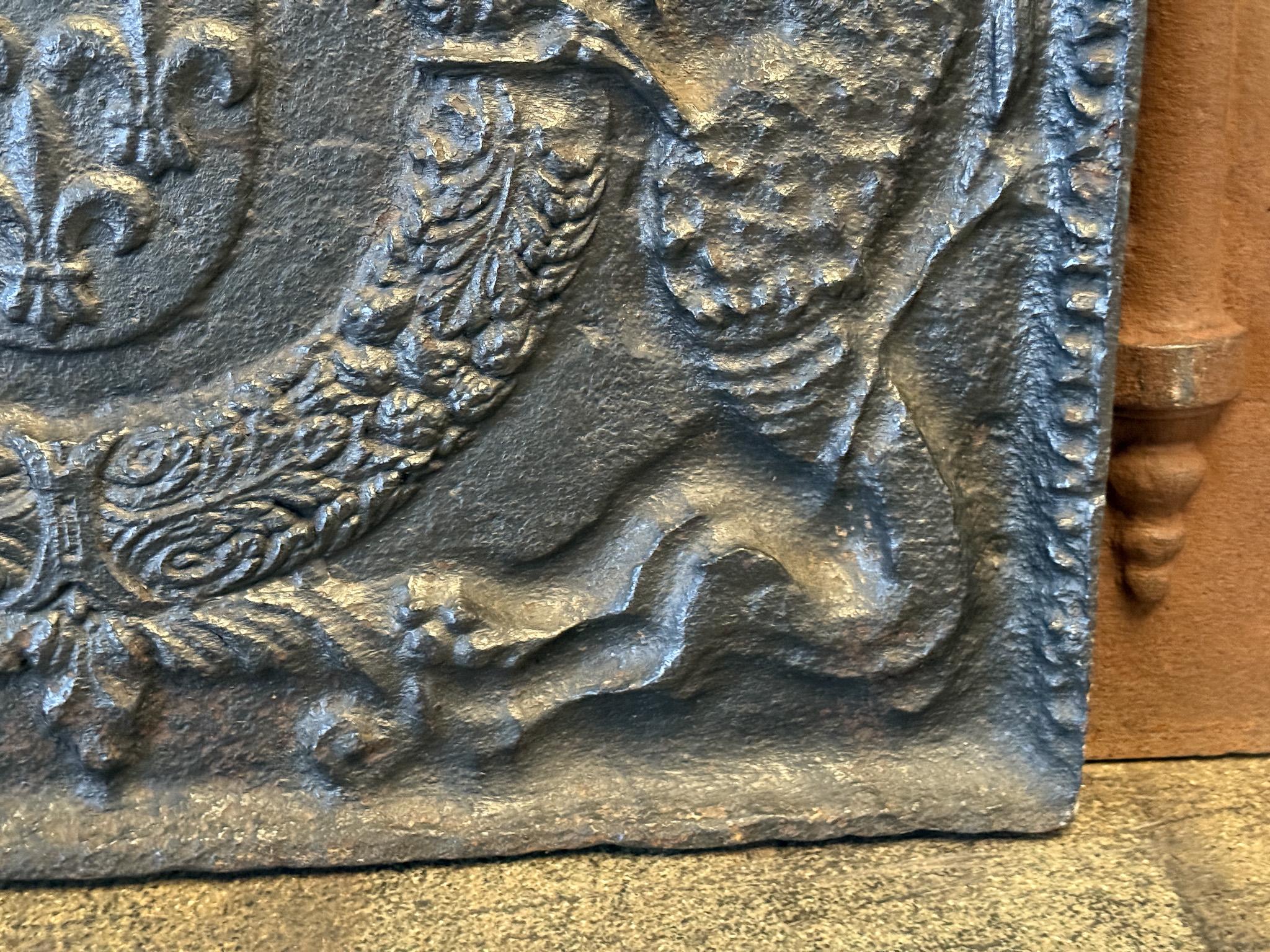 French Renaissance aus dem 16. Jahrhundert 'Arms of France' Kaminrückwand / Aufkantung im Angebot 7