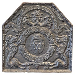 Respaldo / Revestimiento de chimenea de época renacentista francesa del siglo XVI "Armas de Francia