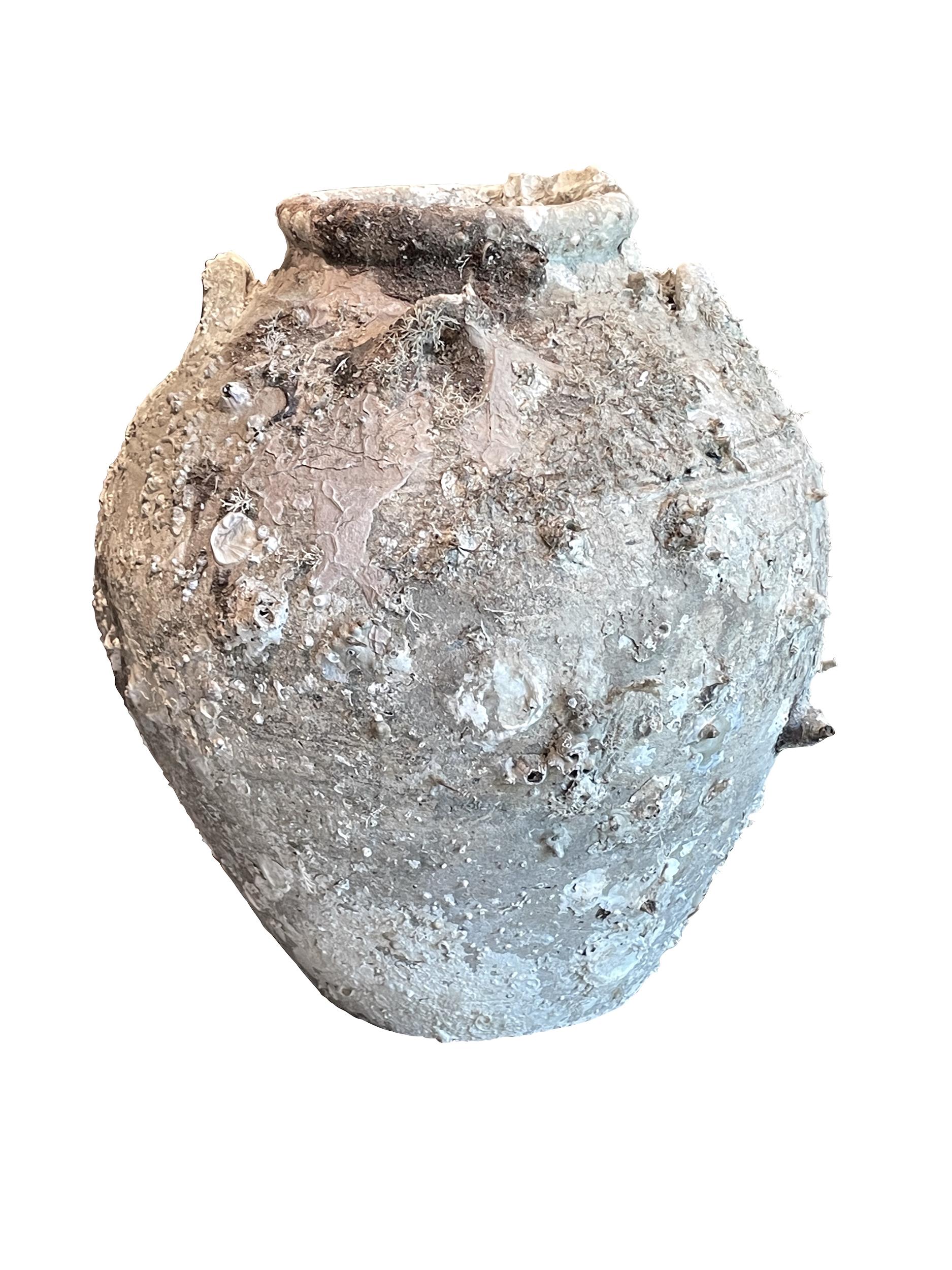 Thailandia del XVI secolo, Sawankhalok grande vaso in ceramica proveniente dall'antica città di Sawankhalok, nota per le sue ceramiche.
Bellissima e abbondante crescita di fossili grazie all'immersione in acqua.
Patina originale Nature.
Tre