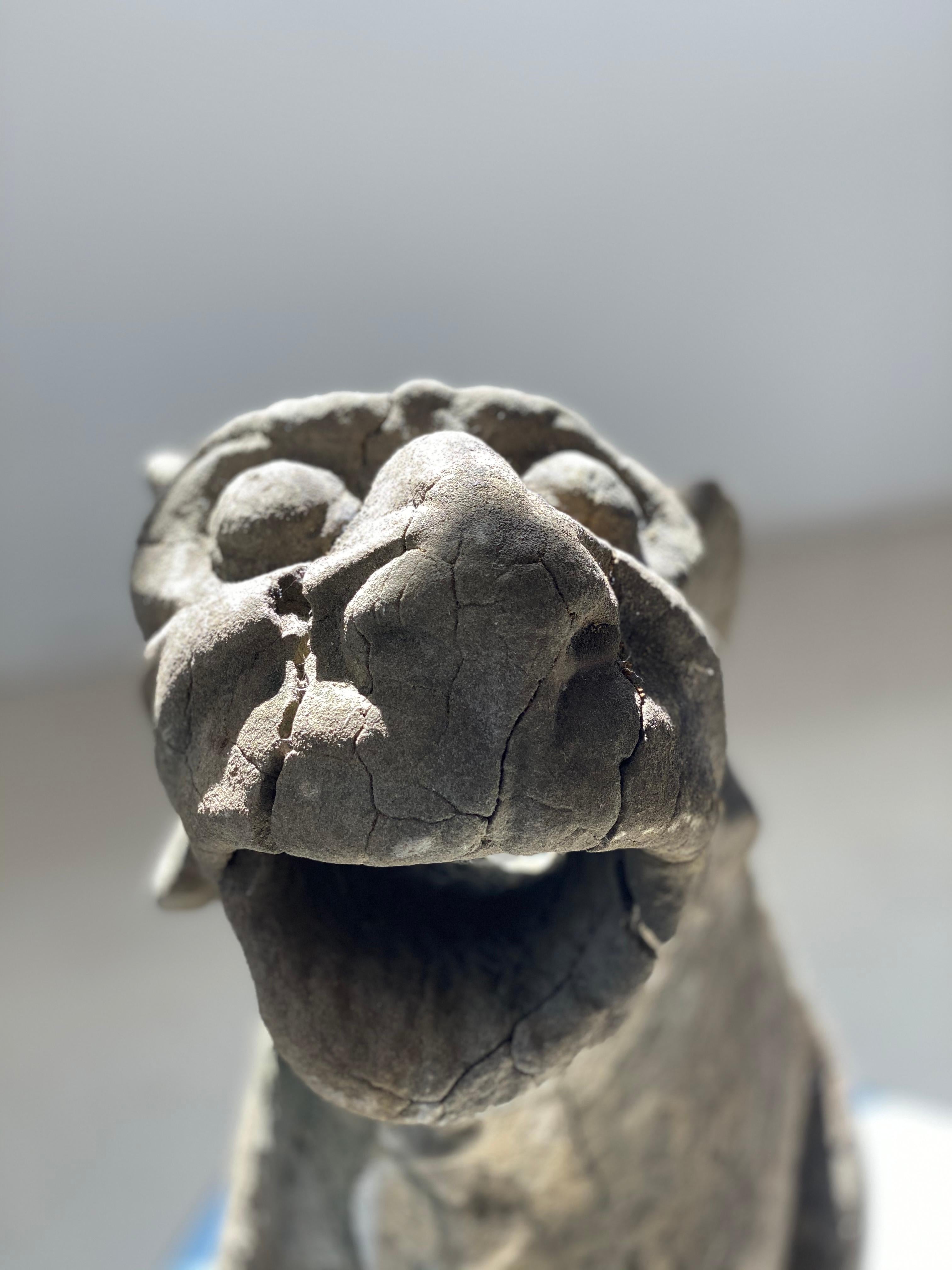 French 16th Century Late Gothic Limestone Gargoyle For Sale