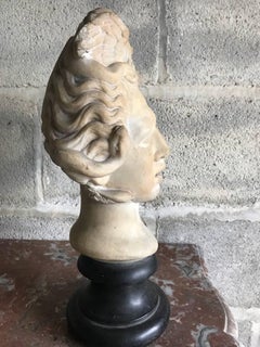 16th Century Medusa Marble Bust