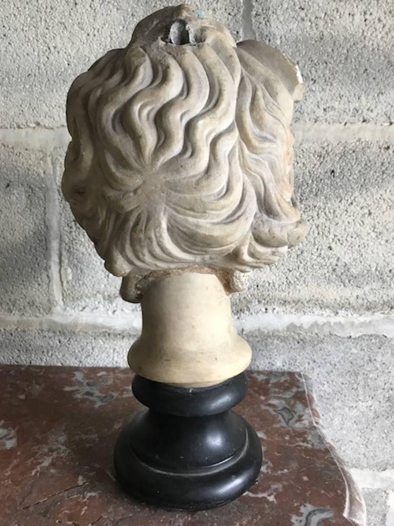 Classical Roman 16th Century Medusa Marble Bust