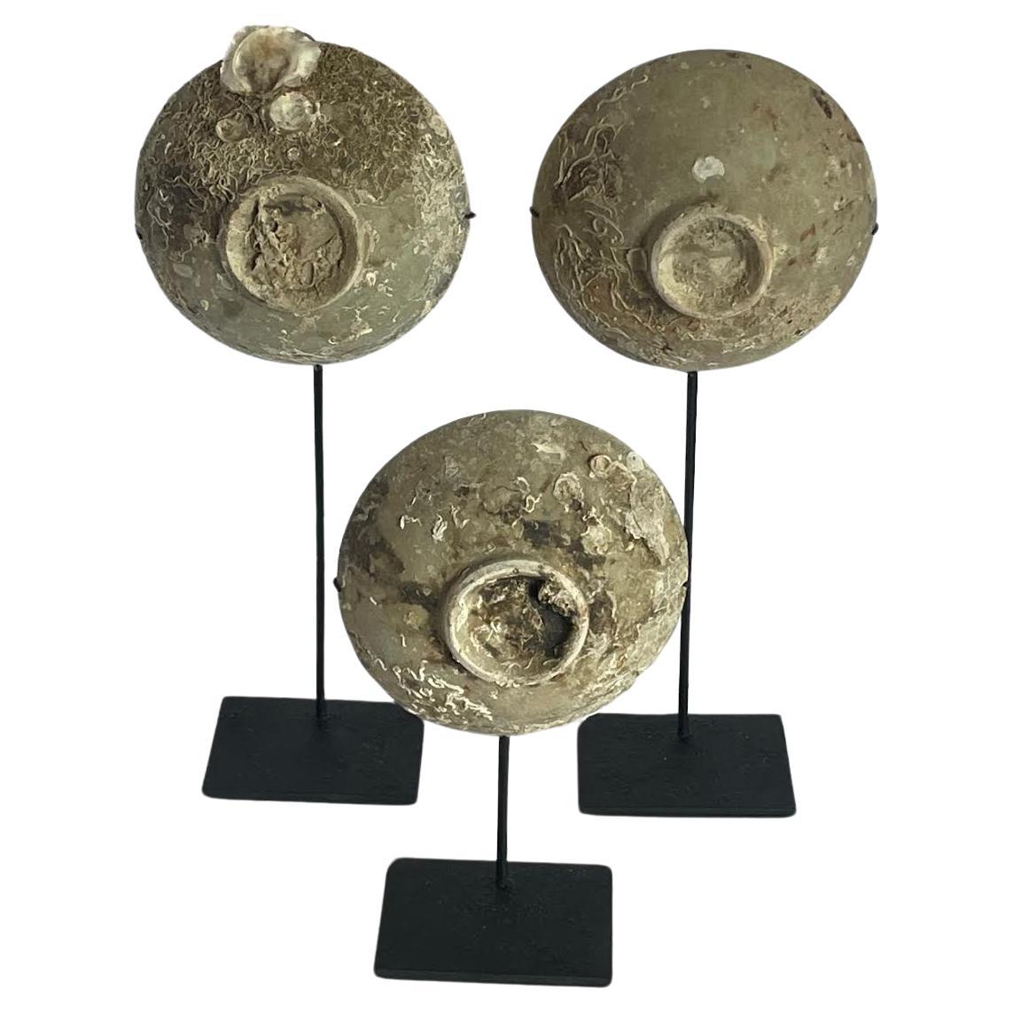 Chinesisches Ming-Dynastie-Set aus drei Keramikbechern aus dem 16. Jahrhundert, die in einem Schiffswrack entdeckt wurden.
Schöne natürliche verwitterte Patina.
Tassen messen  5