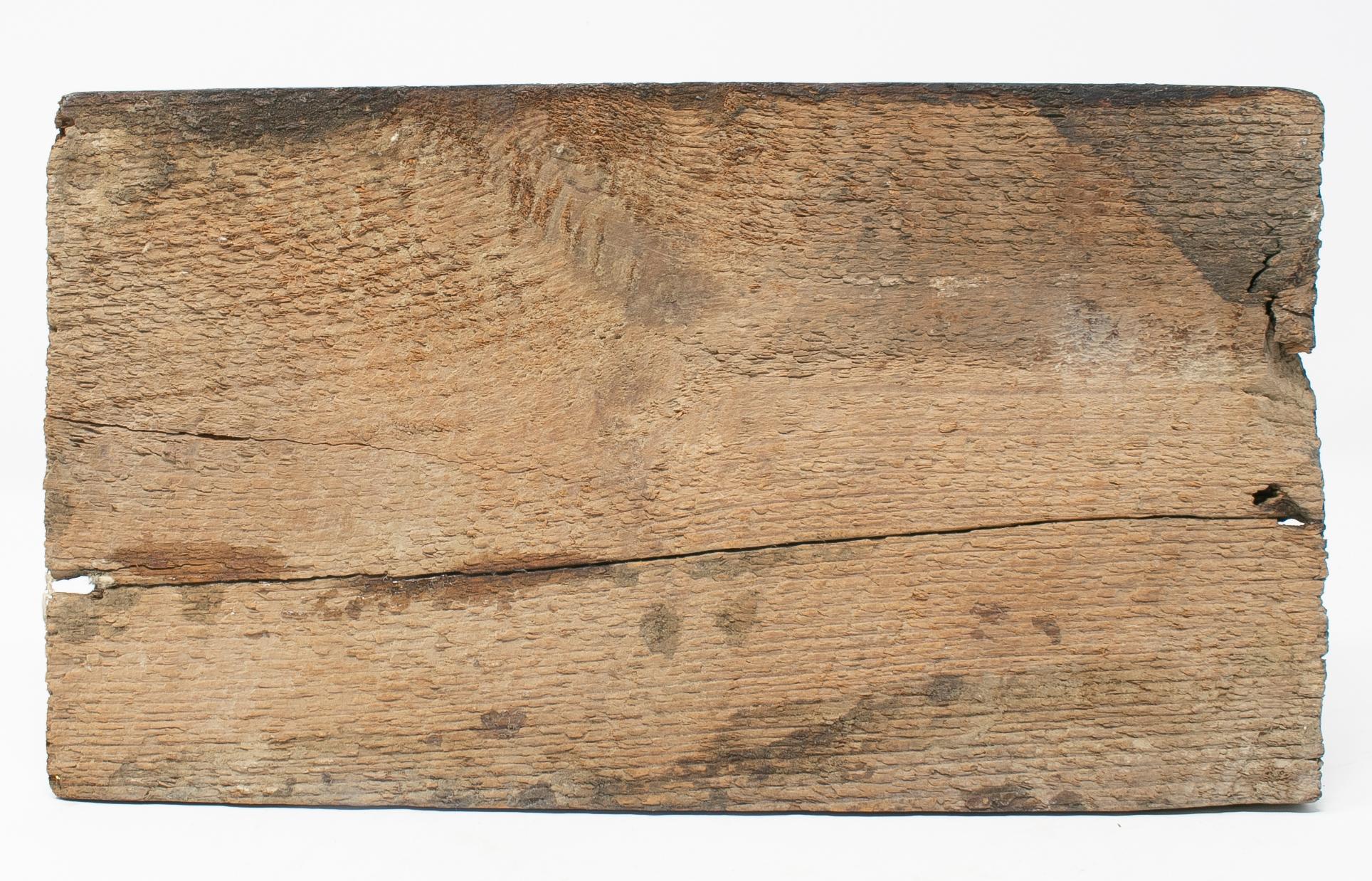 16th Century Pair of Coat of Arms Painted on Wood Part to a Spanish Ceiling 4