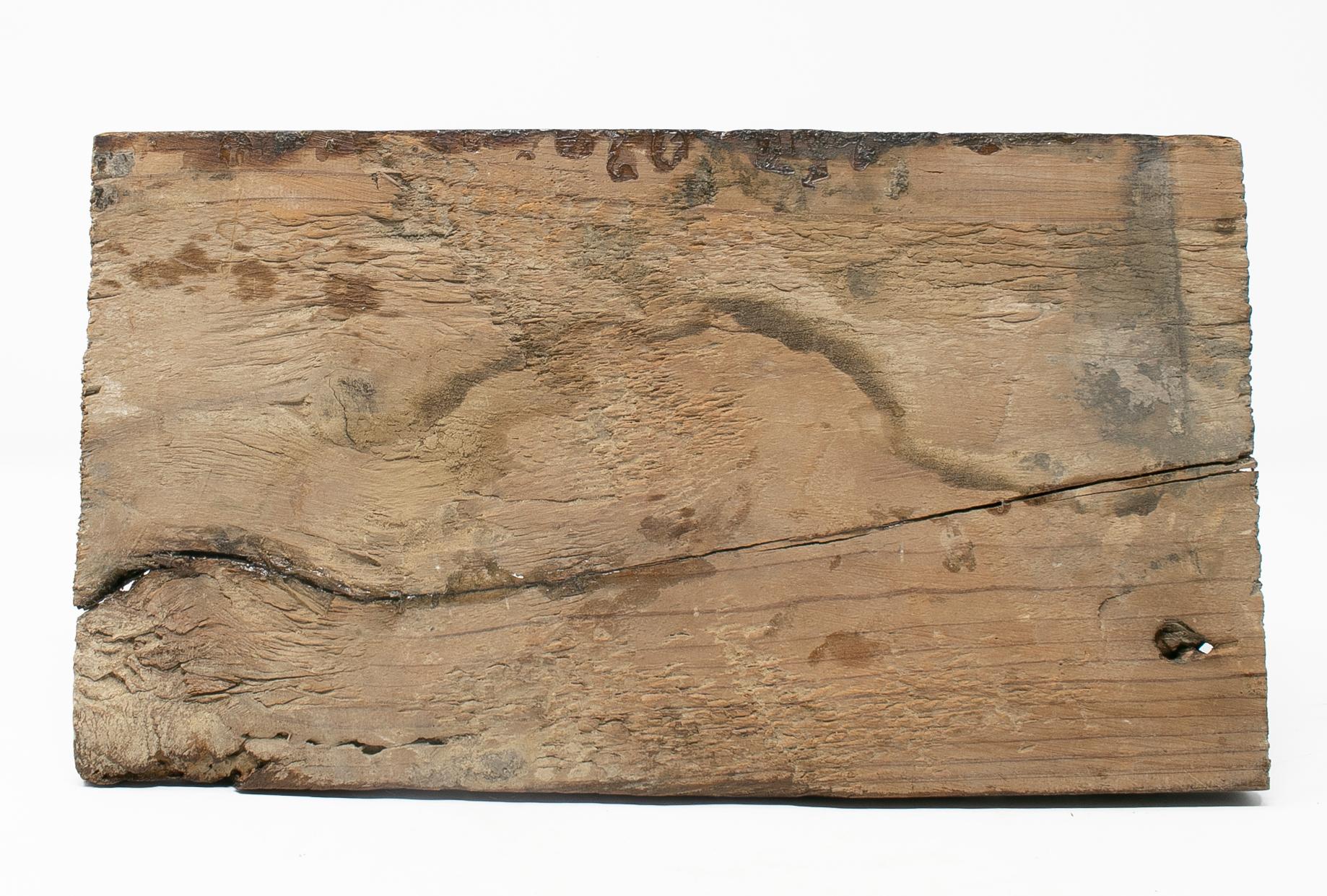 16th Century Pair of Coat of Arms Painted on Wood Part to a Spanish Ceiling 5