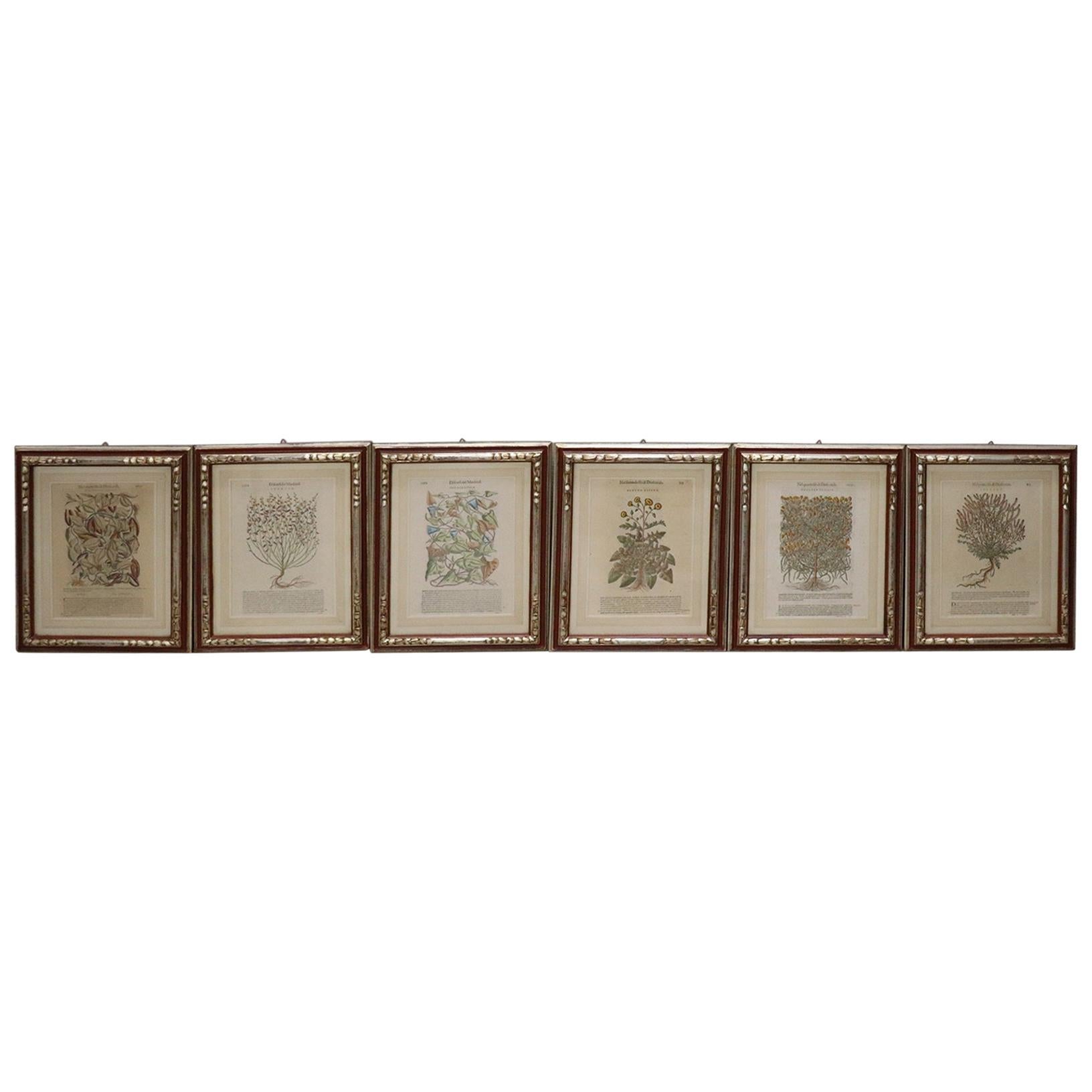 16th Century Rare Antique Engravings with Frame, Set of 6