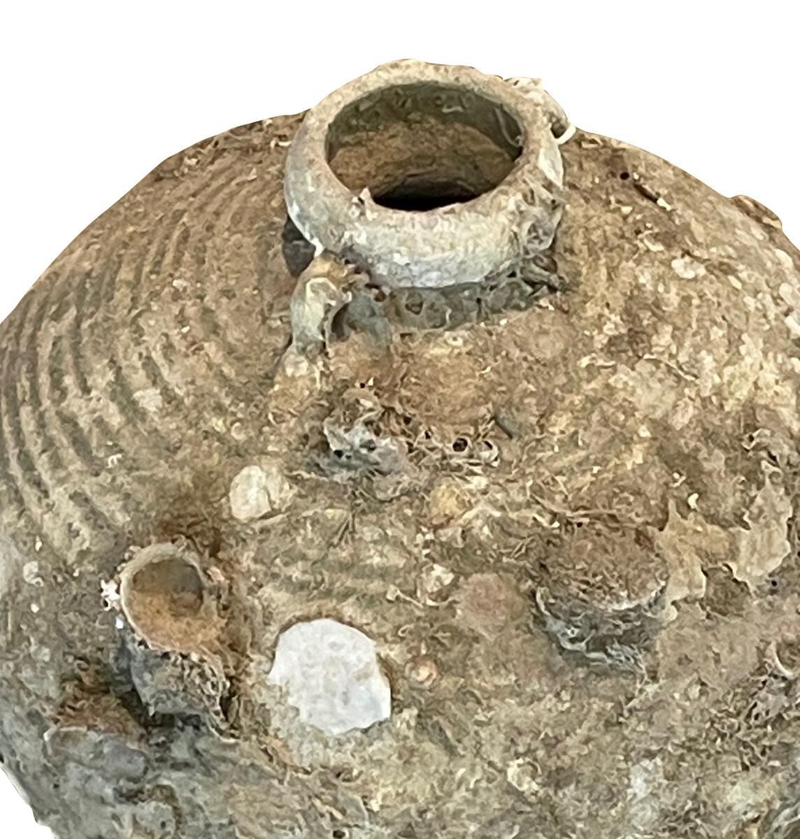 Olla de coco del naufragio Sawankhalok, Tailandia, siglo XVI.
Hermoso y abundante crecimiento fósil por estar sumergido bajo el agua.
Pátina original natural.
Dos disponibles y vendidos individualmente.
Forma parte de una gran colección de cerámica