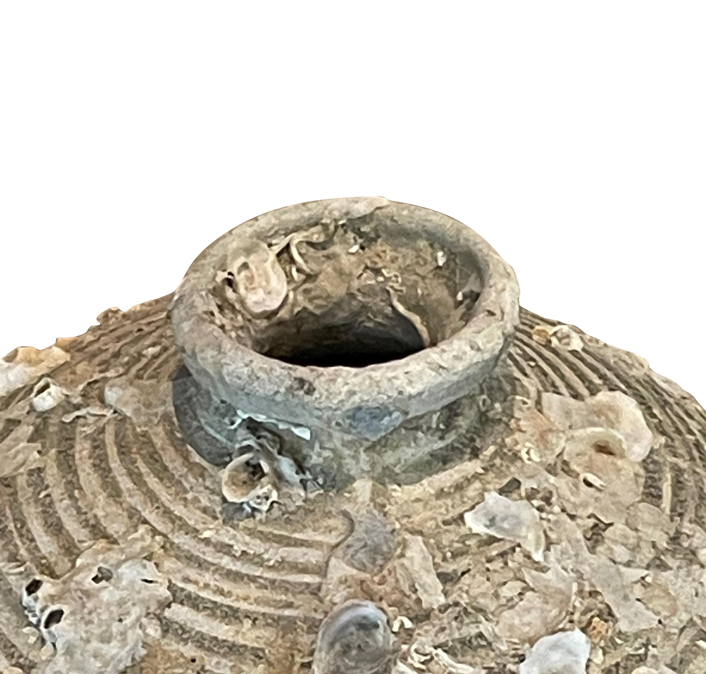 16th century Thailand Sawankhalok shipwrecked coconut pot.
Beautiful and abundant fossil growth from being submerged under water.
Natural original patina.
Two available and sold individually.
Part of a very large collection of shipwrecked pottery of