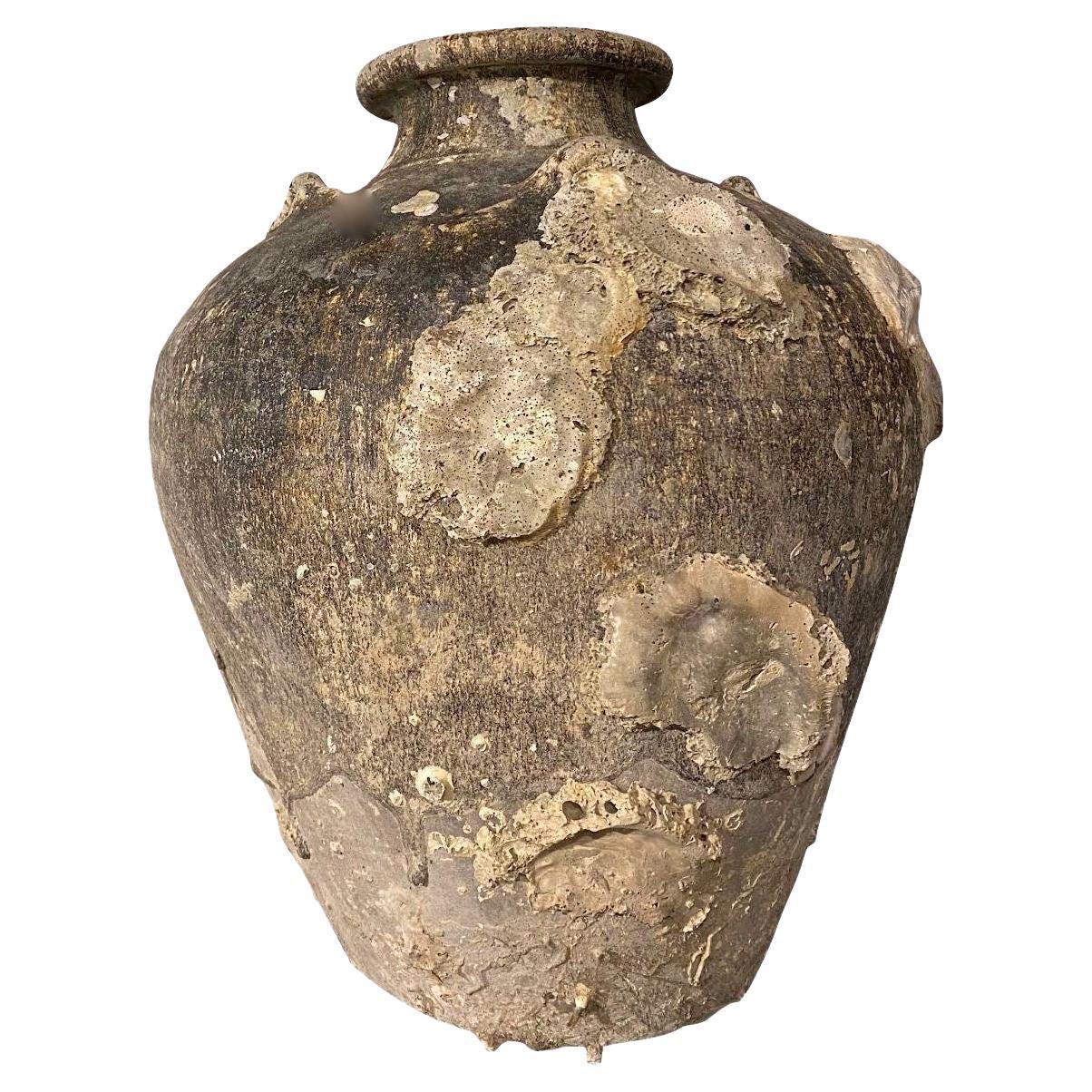 16th century Thailand Sawankhalok vessel from the Turiang shipwreck discovered in 1998 in the South China Sea.
Natural marine growth from being submerged for over 300 years.
From a large collection of vessels that survived and have been