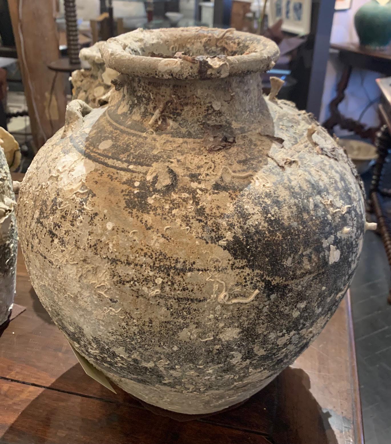 16th century Thailand Sawankhalok ship wreck vase.
Beautiful and abundant fossil growth from being submerged under water.
Distinct natural patina.
    