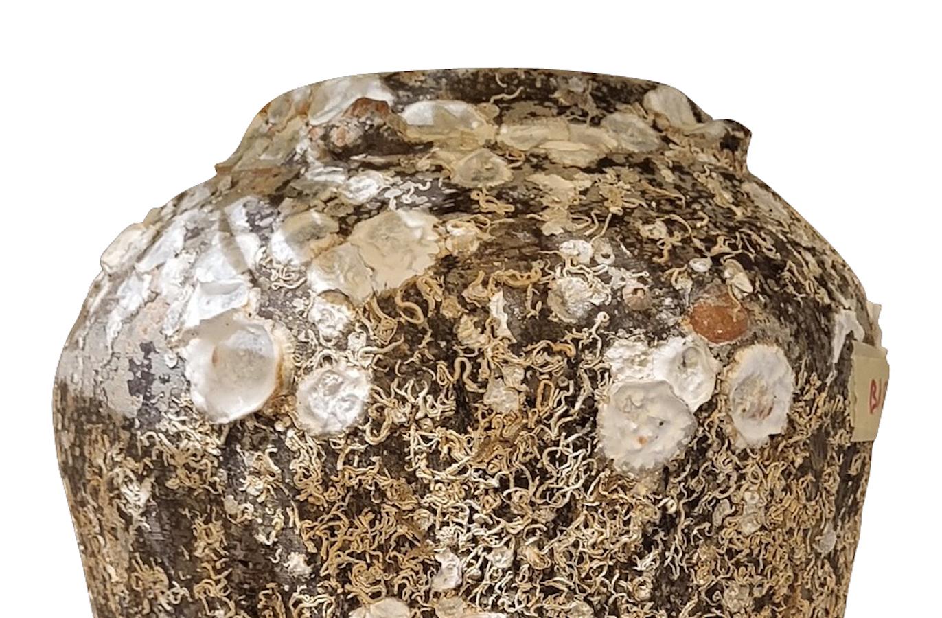Vascello naufragato vietnamita del XVI secolo dalla forma insolita e di grandi dimensioni.
Bella e naturale patina dovuta all'immersione in acqua.
Due disponibili e venduti singolarmente.
Fa parte di una vasta collezione di ceramiche naufragate di