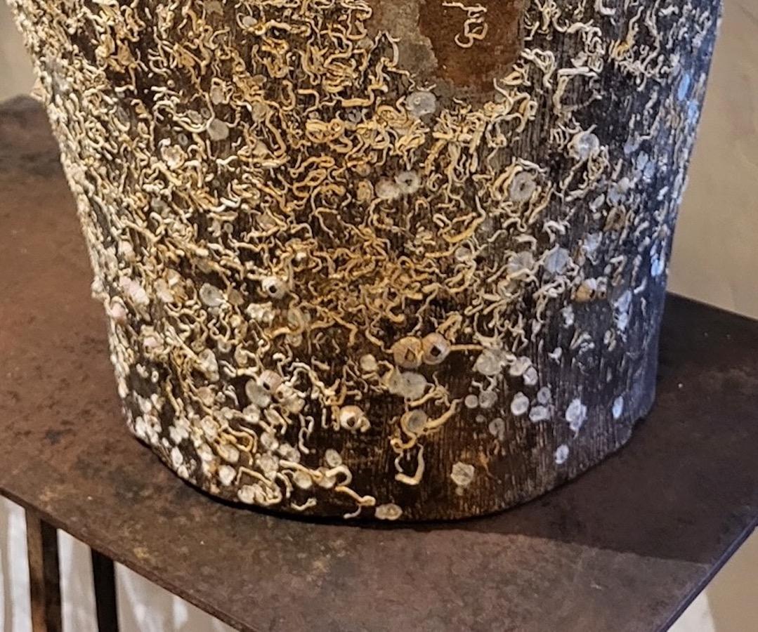 Vietnamesisches Schiffswrack aus dem 16. Jahrhundert mit ungewöhnlicher Form, Vietnam (18. Jahrhundert und früher) im Angebot