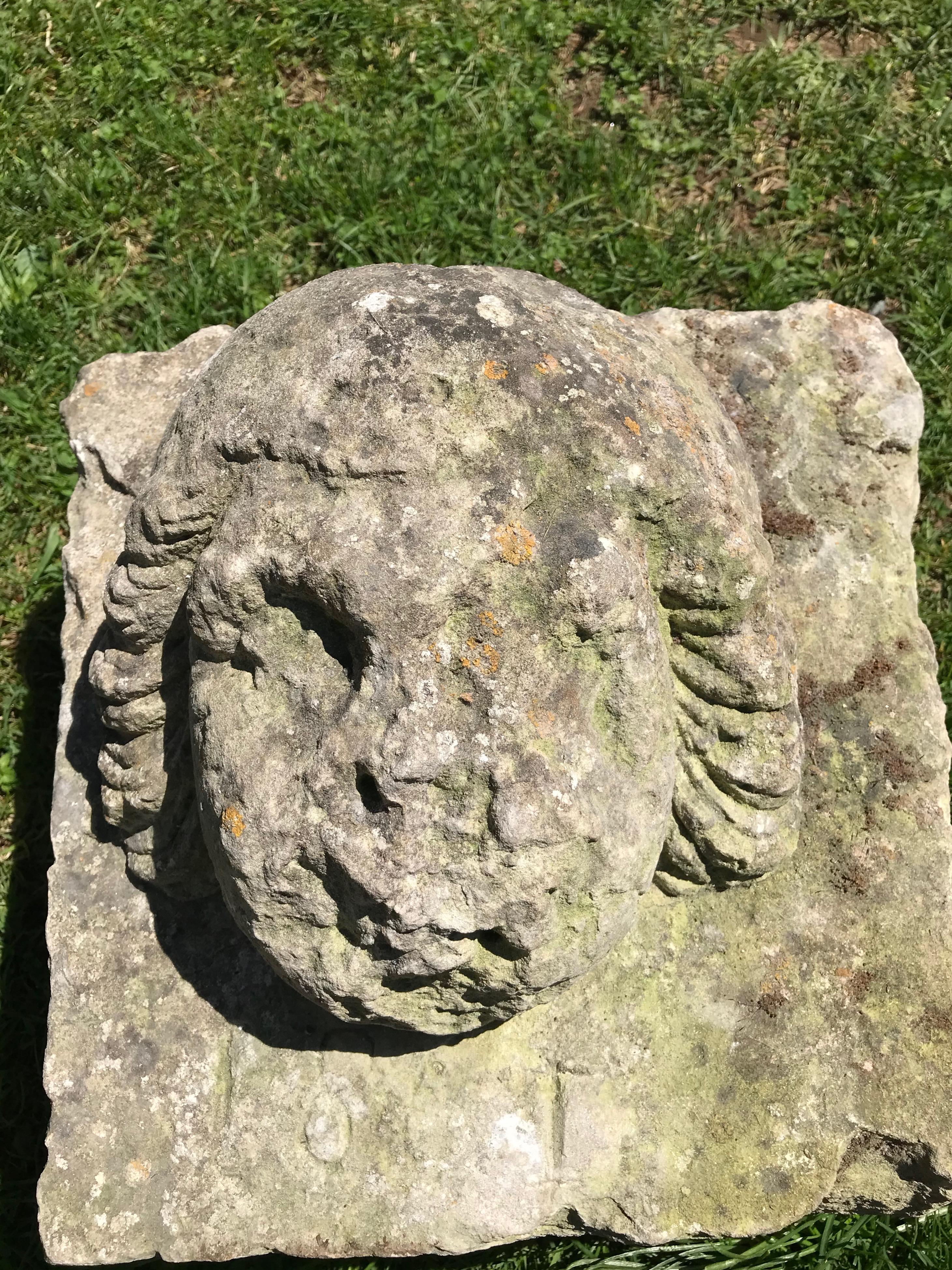 Hand-Carved 16th Century Weathered French Hand Carved Limestone Cherub Head For Sale