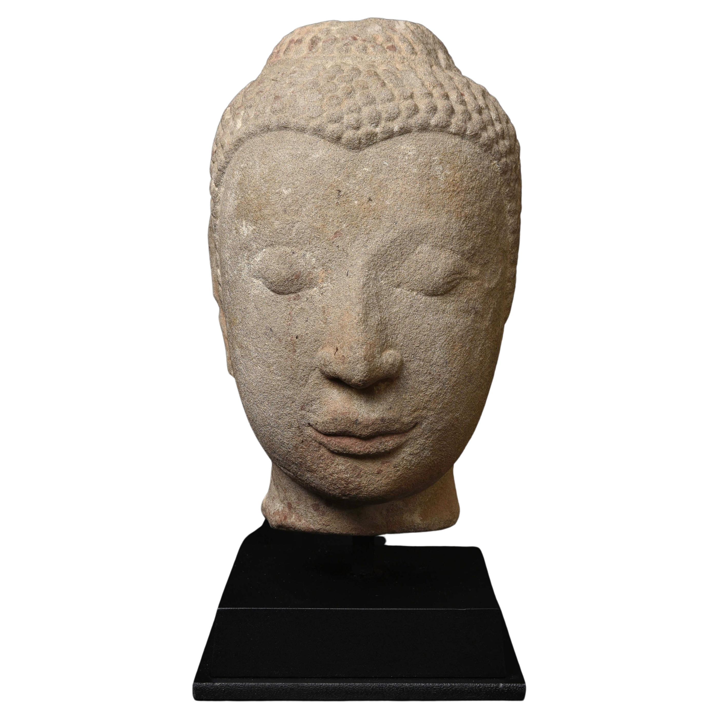 Superbe tête de Bouddha en pierre grandeur nature thaïlandaise du 16ème siècle - exemple Ayuthaya